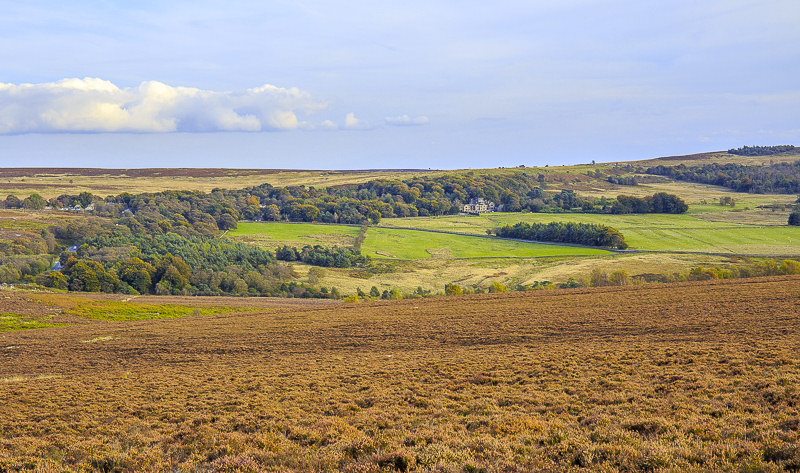 Longshaw Longshaw